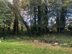 Canons Road, Warrington, WA5 1EU